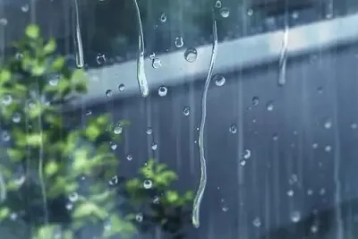 雨水暖心祝福语 雨水节气问候句子微文案