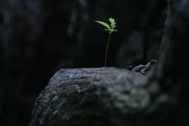 永不言弃努力拼搏的句子微文案