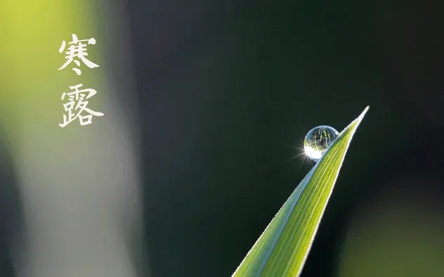 分享一组寒露节气文案微文案