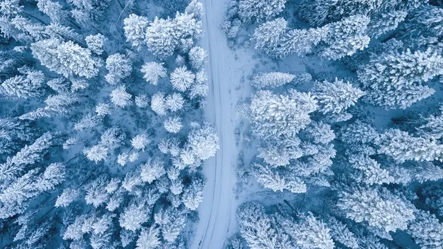 大雪节气祝福语录大全微文案