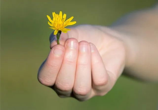 感恩节感谢父母的话微文案