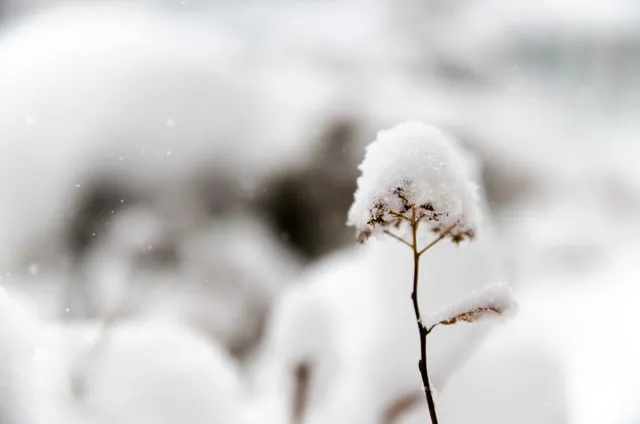 下雪天温暖的文案句子微文案